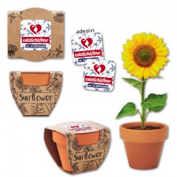 Art. 6147 - Sunflower