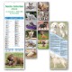 Art. 4790 - Calendario Mini Cani e Gatti 14x47 cm.